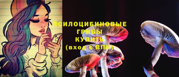 метамфетамин Аркадак